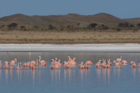 Laguna de Utracán. Foto: Instagram / turismo.lapampa.