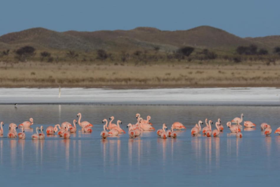 Laguna de Utracán. Foto: Instagram / turismo.lapampa.