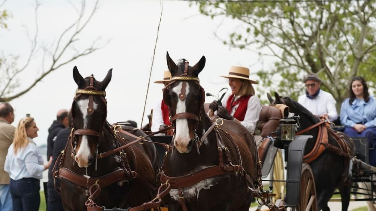 Llega la fiesta del Encuentro del Carruaje y el Caballo: jineteadas, patrimonio argentino y tradiciones rurales para toda la familia