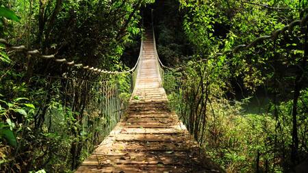7 Maravillas Argentinas - Selva Misionera