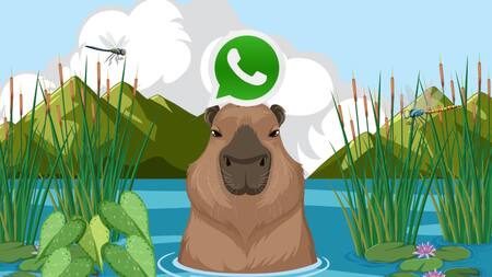 Modo Capibara en WhatsApp. Foto: Freepik.