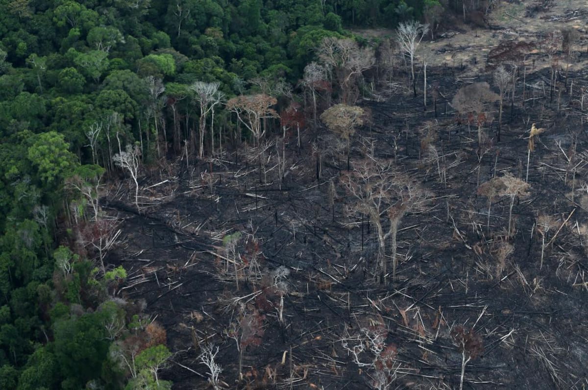 Amazonia ecuatoriana. Foto: Reuters