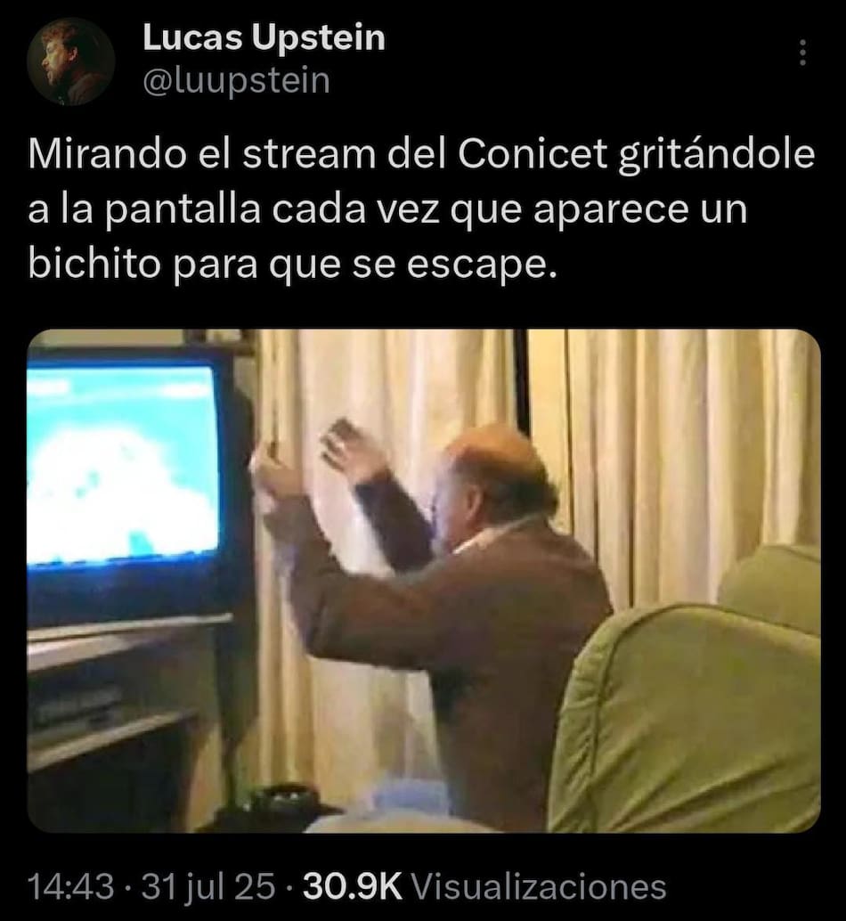 Memes del stream del CONICET que causa furor.