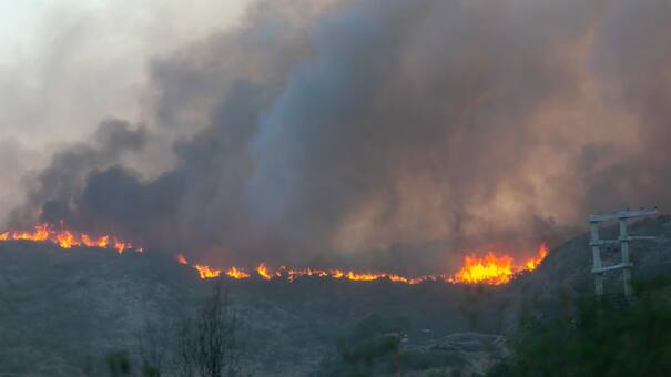 Incendios forestales en Córdoba: ¿qué pena podría recibir el joven que inició las llamas?