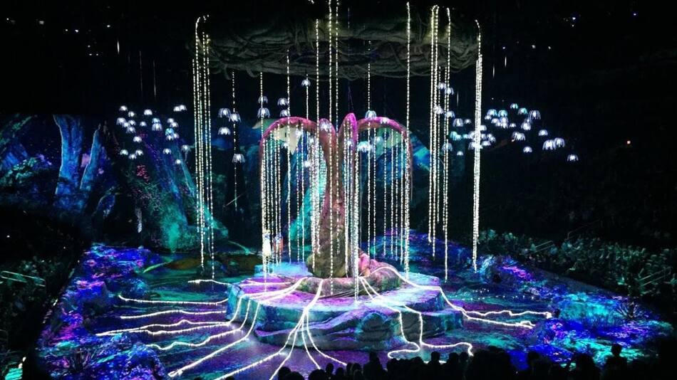 Cirque su Soleil Amaluna