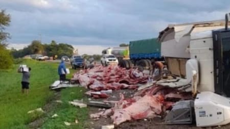 Camión con carne que desbarrancó en Salta. Foto: NA.