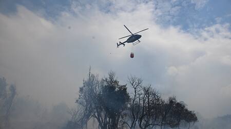 Incendio en Los Alerces. Foto: Télam