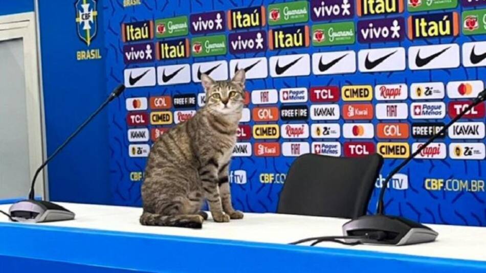 La maldición del Gato