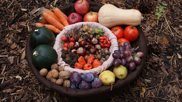 De aliado a veneno: las dos frutas más consumidas que pasaron de ser saludables a convertirse en un riesgo para el cuerpo