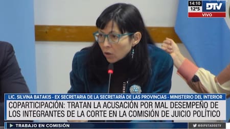Juicio político, segunda jornada de testimonios sobre el fallo por la coparticipación federal. Foto: DTV.