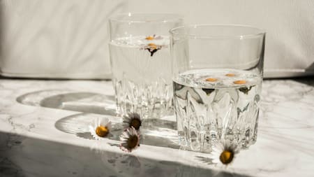 Las bebidas que hidratan más que el agua y tienen innumerables beneficios para la salud: ¿cuáles son?