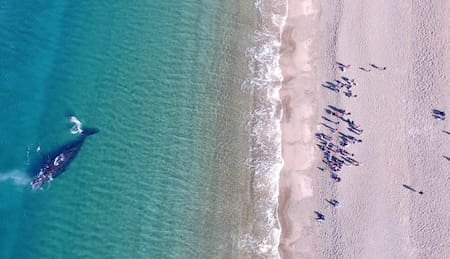 Playa El Doradillo, Chubut. Foto: X