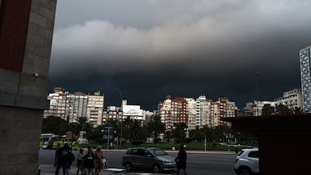 Fuertes vientos, lluvias y árboles caídos en Mar del Plata: el pronóstico del clima en la Costa Atlántica, según el SMN