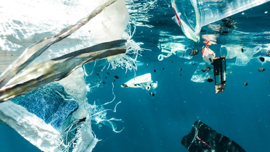 Contaminación por plásticos. Foto: Unsplash