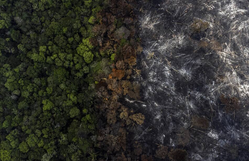 Fotografía aérea muestra la destrucción causada por uno de los incendios en la selva amazónica. Foto EFE.