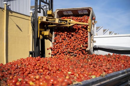 Tomatina en Buñol. Foto: EFE.