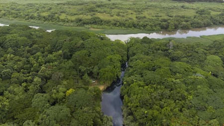 Parque de humedales de Ozama, República Dominicana. Foto: EFE