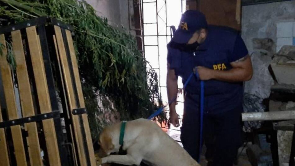 Operativo policial en San Luis, foto NA