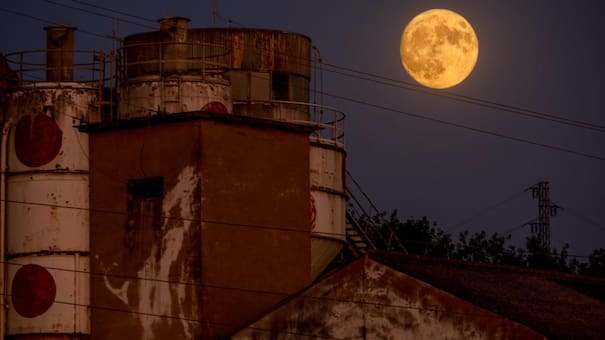 Llega la Luna del Cazador: cuándo se podrá ver la superluna más brillante de octubre 2025 en Argentina