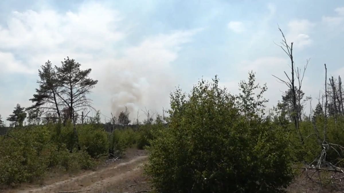 Incendios forestales en Alemania destruyeron varias zonas. Foto: captura video.