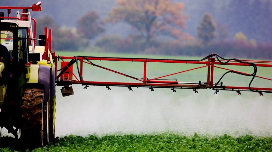 Uso de pesticidas. Foto: EFE