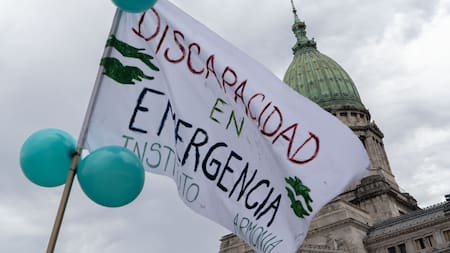 El Gobierno reglamentó la ley Emergencia en Discapacidad: los detalles