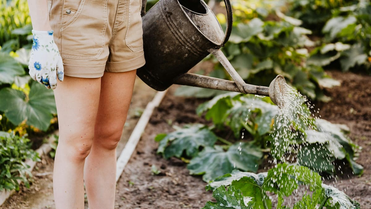 La envidia de tus vecinos: cómo hacer que tu balcón sea un verdadero jardín de flores en primavera