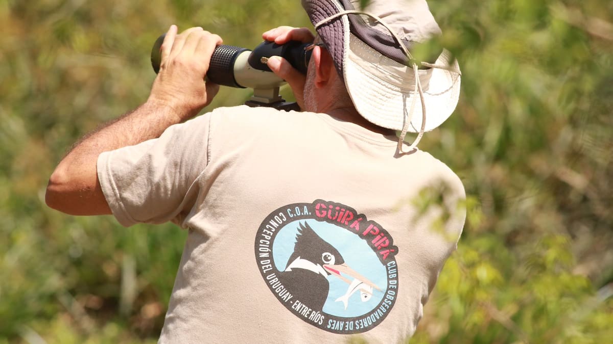 Observación de aves.