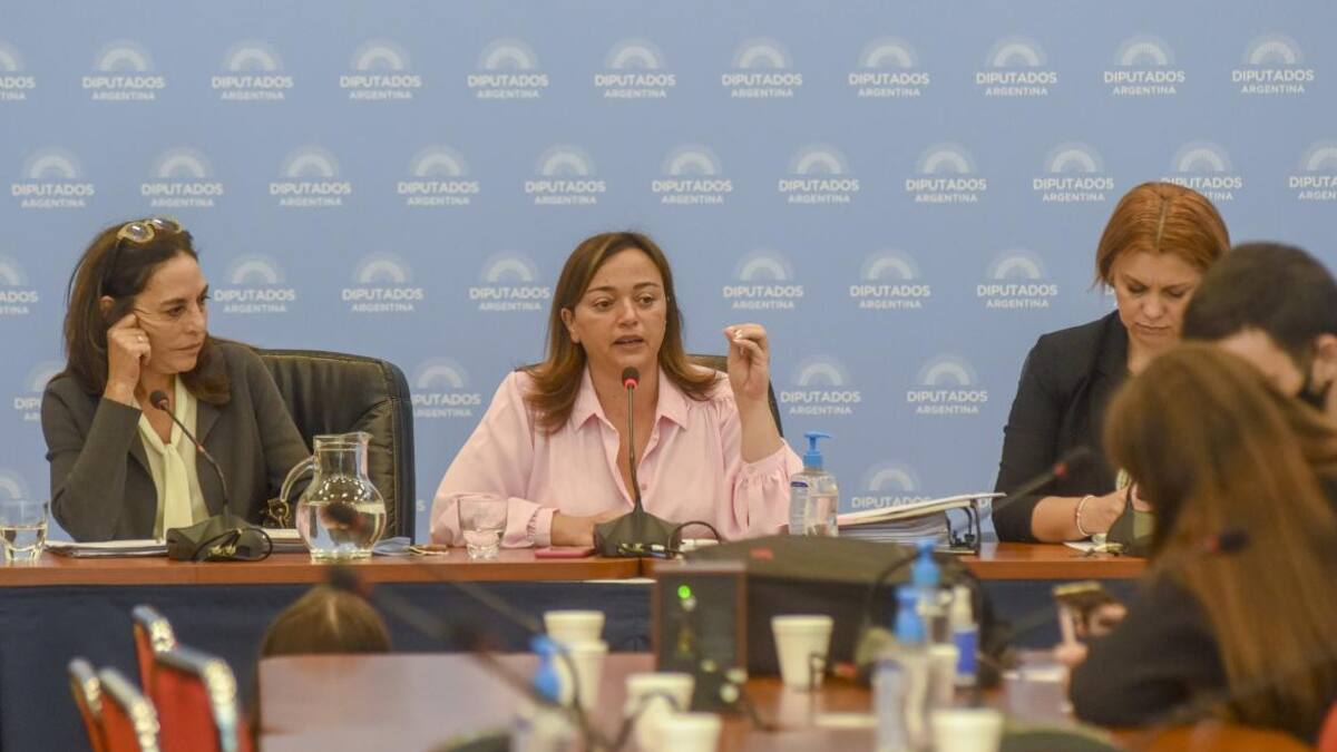 Cecilia Moreau, diputada sobre la ley de Alquileres de la comisión de Legislación General. Foto NA: