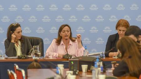 Cecilia Moreau, diputada sobre la ley de Alquileres de la comisión de Legislación General. Foto NA: