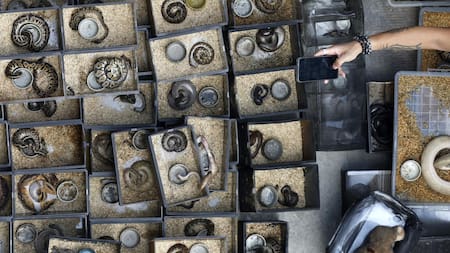 Incendio en el mayor mercado callejero de Bangkok. Foto: EFE.