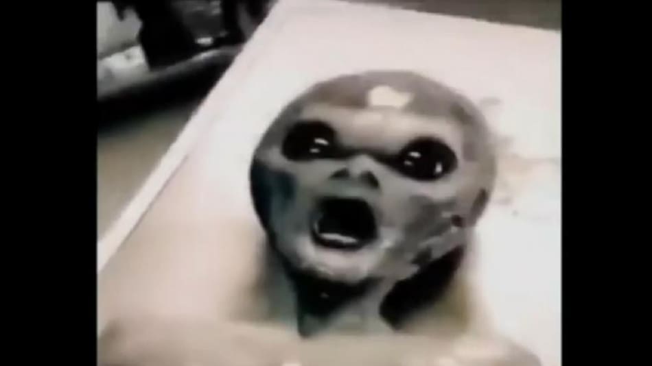 Imagen de supuesto extraterrestre filtrada por la NASA