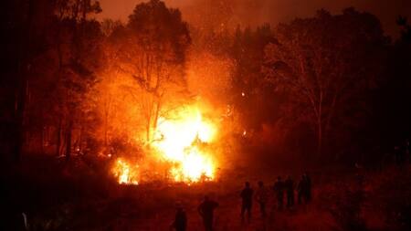 Incendio forestal en la localidad de Nacimiento, Chile. Foto: Reuters