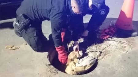 Policías de Rosario rescataron a un perrito de un pozo. Foto: redes sociales.