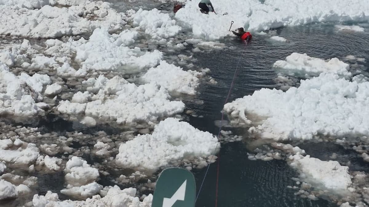 Tragedia en Chile: una avalancha arrastró a ocho personas y reportan al menos cuatro muertos