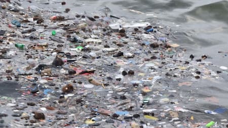 Contaminación en océanos. Foto: EFE.