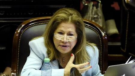 Graciela Camaño, Frente Renovador, Diputados, Política