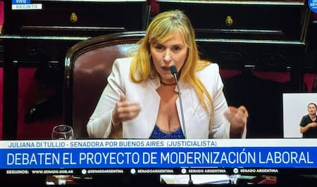 Juliana Di Tullio en el Senado.