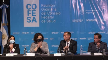 Carla Vizzzotti en reunión del Consejo Federal de Salud. Foto: NA.