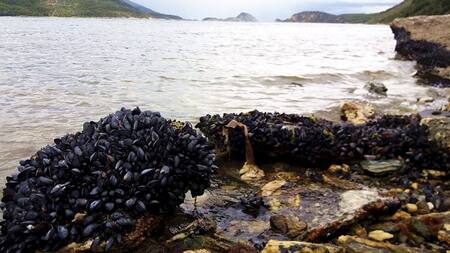 Estrecho de Magallanes. Foto: Télam