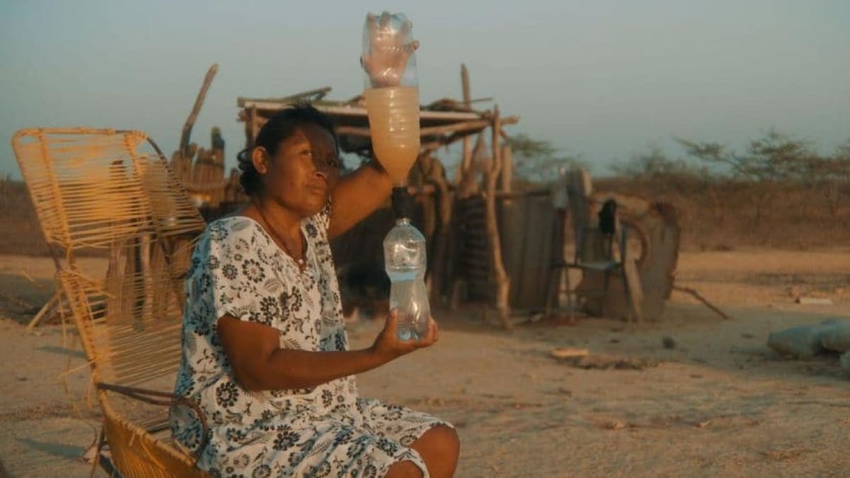Agua segura: el filtro biodegradable que ofrece una prometedora solución a las comunidades de Colombia