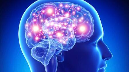 Consejos para mantener el bienestar general del cerebro. Foto: NA.