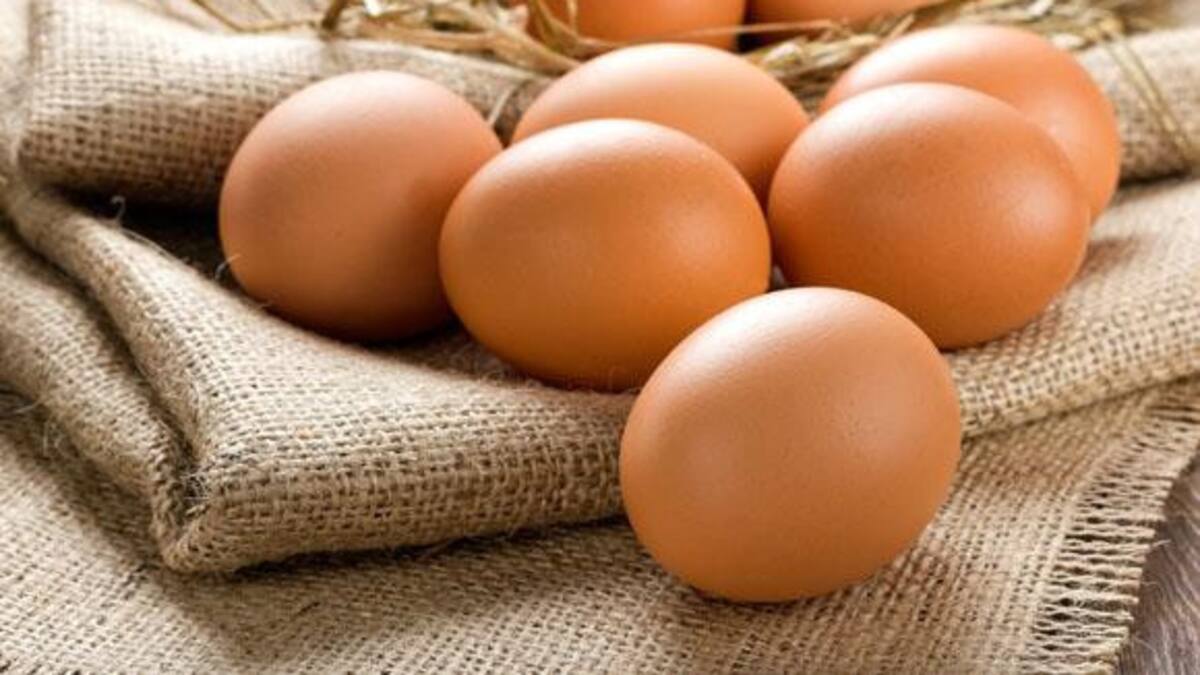 Huevos y colesterol