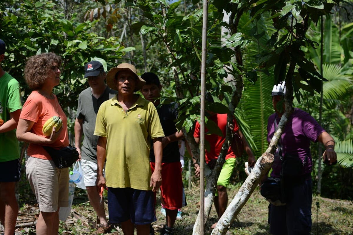 La propuesta combina trabajo en contacto con la naturaleza, alojamiento, actividades de agroturismo y la posibilidad de conocer de cerca una de las regiones más emblemáticas de Perú.