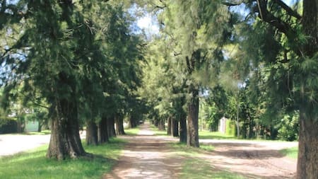 Manzanares, Pilar. Foto: Turismo Pilar