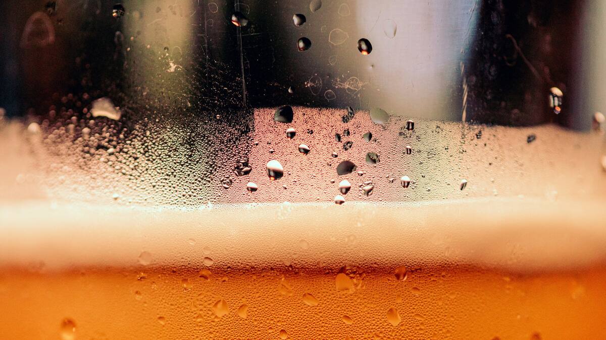 Cervecería, bebida. Foto: Unsplash