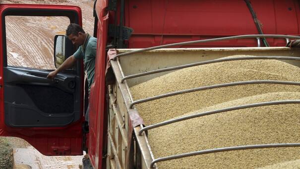 Récord histórico en importación de soja: superó las 700.000 toneladas en septiembre