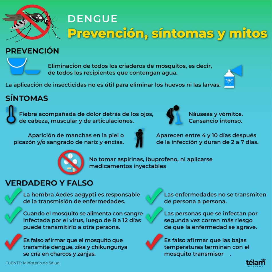 Dengue. Infografía: Télam