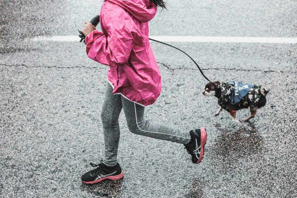 Perro, correr, ejercicio. Fuente: Planeta