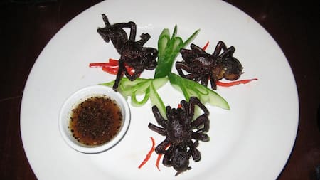 El plato más exótico de Camboya: una Tarántula crujiente